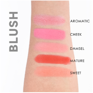 High Pigment Cream Blush Long Lasting Factory Price Blush Face Cheek Makeup